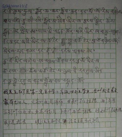 美丽的花园组成400字