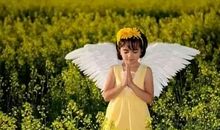 让阳光拐个弯读后感