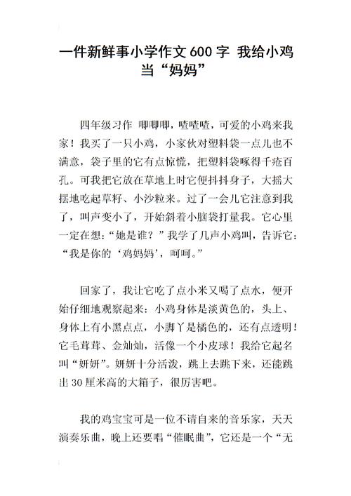 新事物构成600字