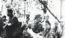 辽沈战役观后感