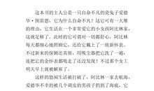 老师，您好！读后感