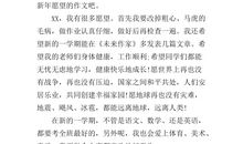 新年愿望的作文
