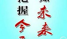 我会想念你读后感