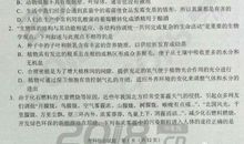 2018湖北随州中考满分作文：绿意的生活（二）