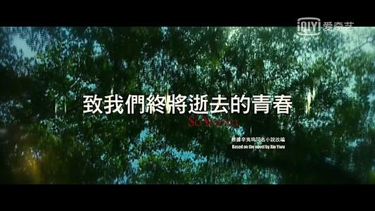 失落的青年人