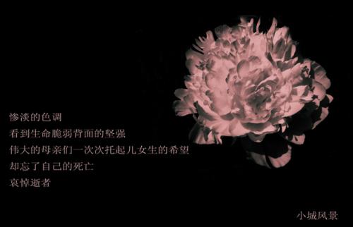 对死者的话