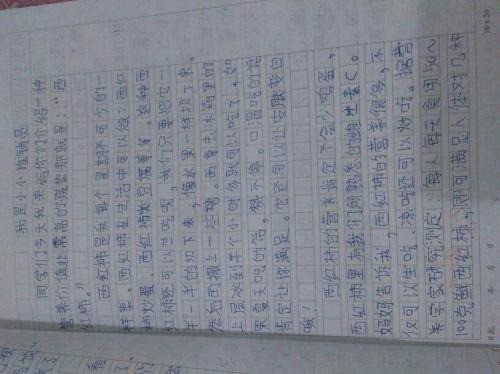 新事物组成250个单词