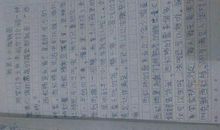 一件新鲜事作文250字