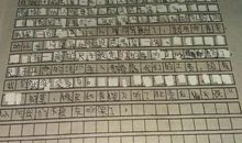 作文保护环境人人有责