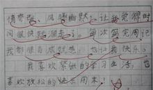 初中暑假作文700字
