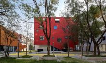 未来的学校150字