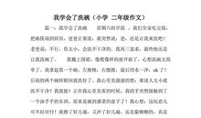 我学会了洗碗150字