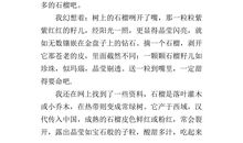 关于植物启示的作文