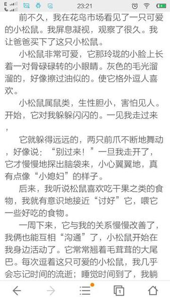 看了松鼠之后