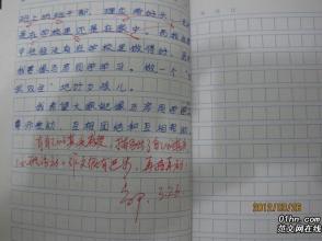 我的自传