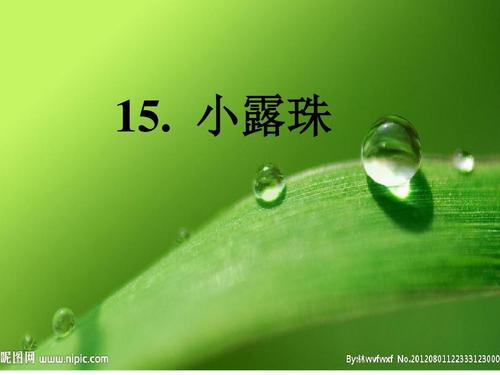 小露珠