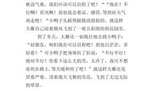 关于鸭子的作文600字