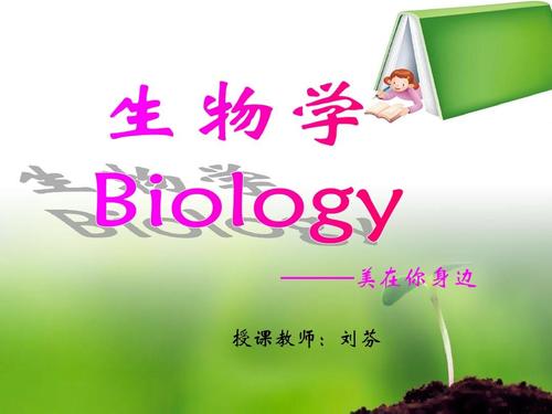 美丽是我身边的初中组成
