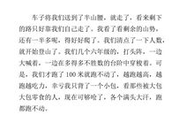 爬山的启示作文