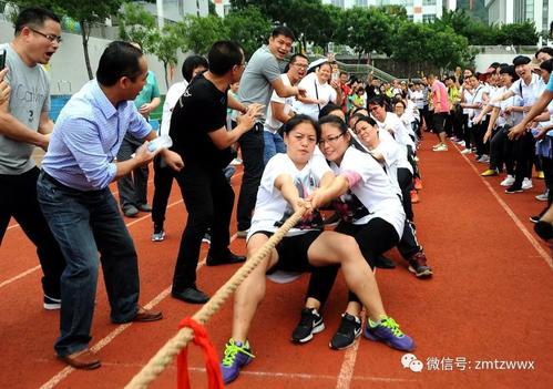 冬季运动会拔河比赛组成