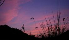 美的瞬间记叙文