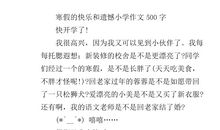 快乐的寒假作文500字