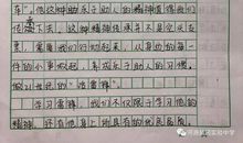 弘扬雷锋精神征文