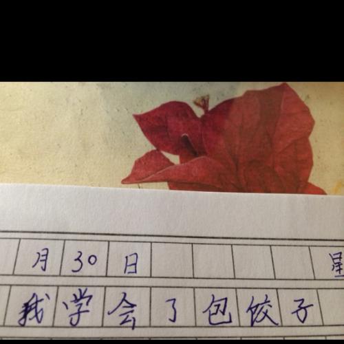 我学了600个做饺子的单词