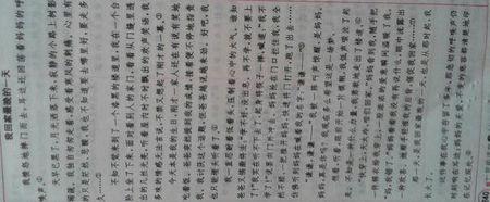 我回家的最后一天是500个字