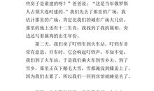 寒假见闻作文500字