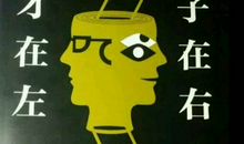 天才在左疯子在右读后感