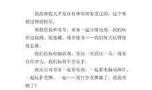 快乐的寒假作文200字