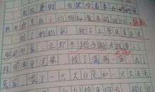 六年级作文运动会