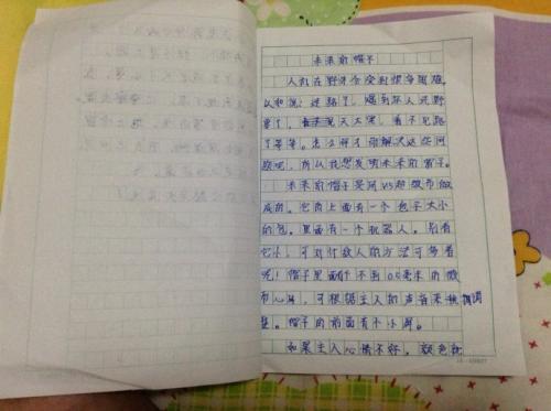 我的异想天开的论文300字