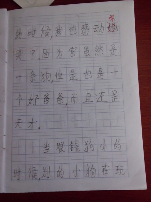 天才眼镜狗看着800字