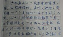 作文寒假见闻600字