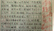 最感兴趣的事作文