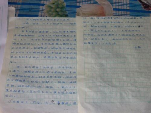 三年级如何写作和阅读