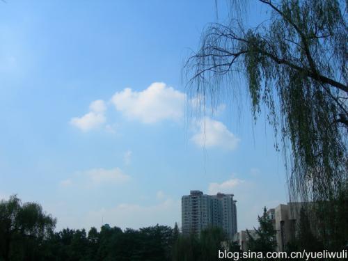 阳光总是在风吹雨打后叙述