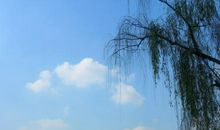 阳光总在风雨后记叙文