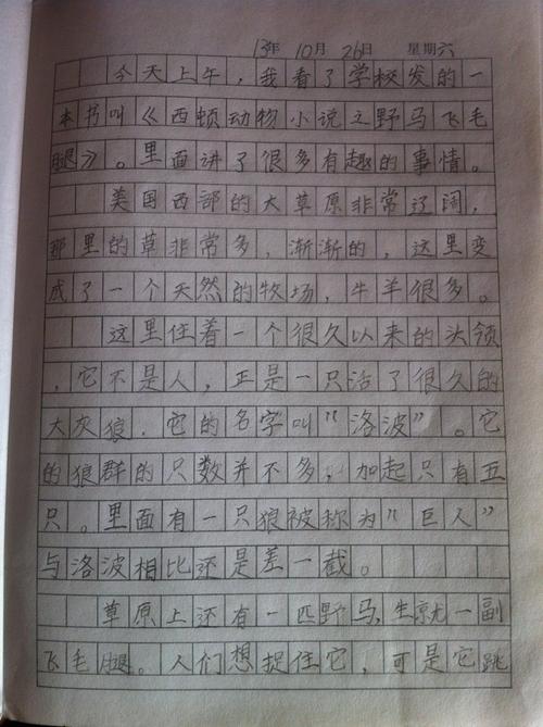 小学二年级学生写作和阅读后的感受