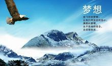 兴趣是最好的老师