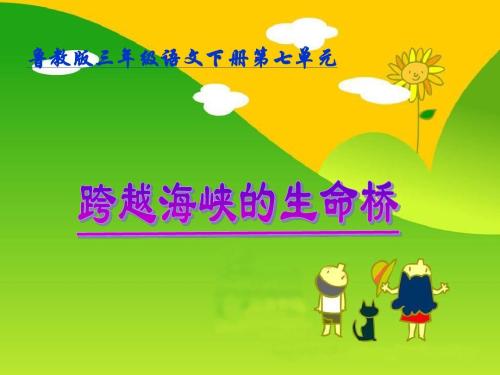 关于两岸生命桥的思考