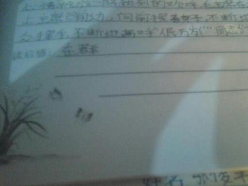 阅读作文开学典礼后的感想