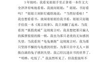 我的兴趣爱好作文500字