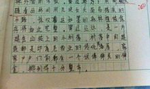 我的暑假作文500字