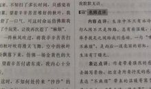 一份满意的答卷作文800字