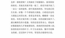 关于比赛的作文450字