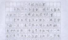 关于比赛的作文500字