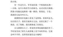 一份特别的礼物作文